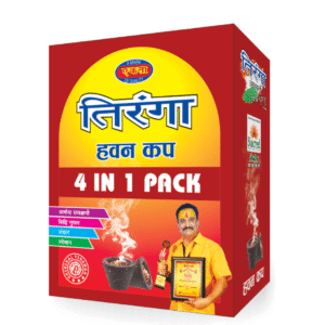 Wholesale Pack of Assorted Havan Cups
